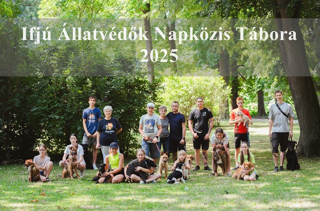 Ifjú Állatvédők Napközis Tábora – 2025