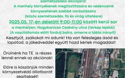 Zöldítési akció 2025.05.17