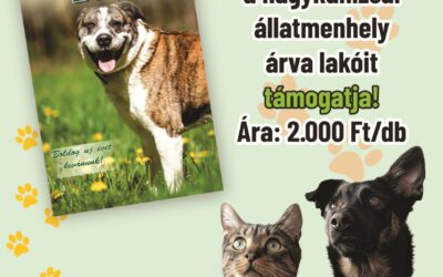 2026-os támogatói naptár