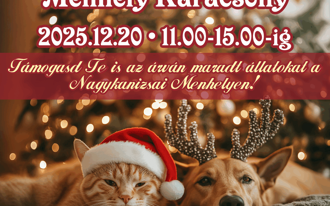 Menhely Karácsony 2025