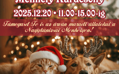Menhely Karácsony 2025