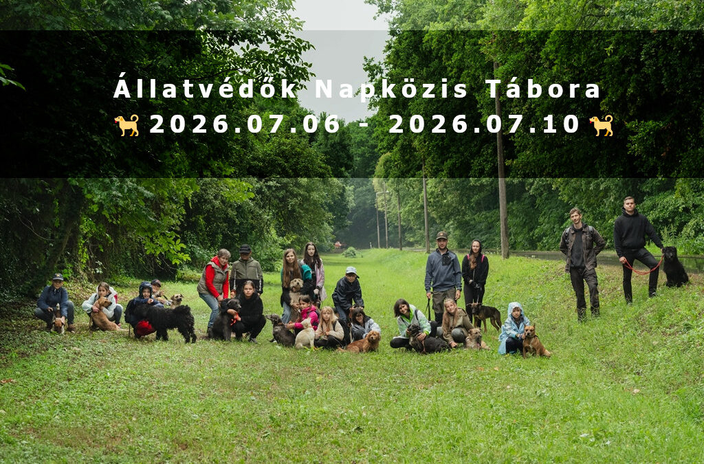 Ifjú Állatvédők Napközis Tábora – 2026