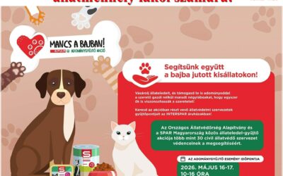 Adománygyűjtés a nagykanizsai állatmenhely lakói számára